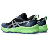 Кросівки для бігу чоловічі Asics GEL-TRABUCO 12 Black/Light blue